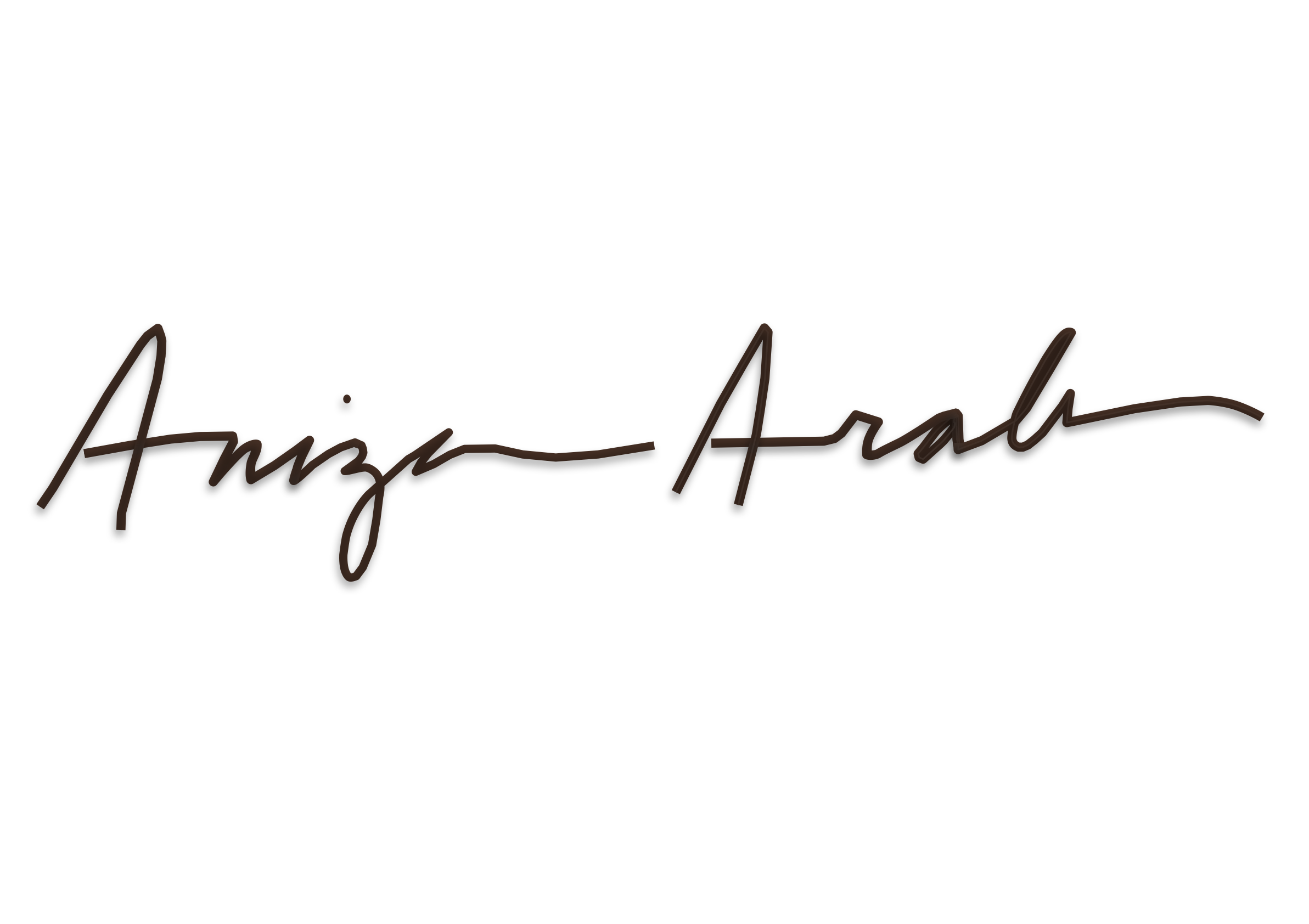 Aniza Arab